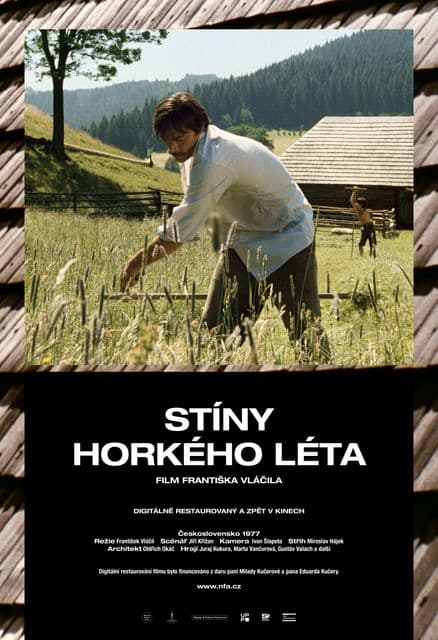 Stíny horkého léta