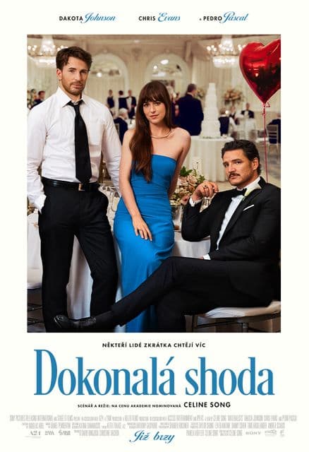 Dokonalá shoda