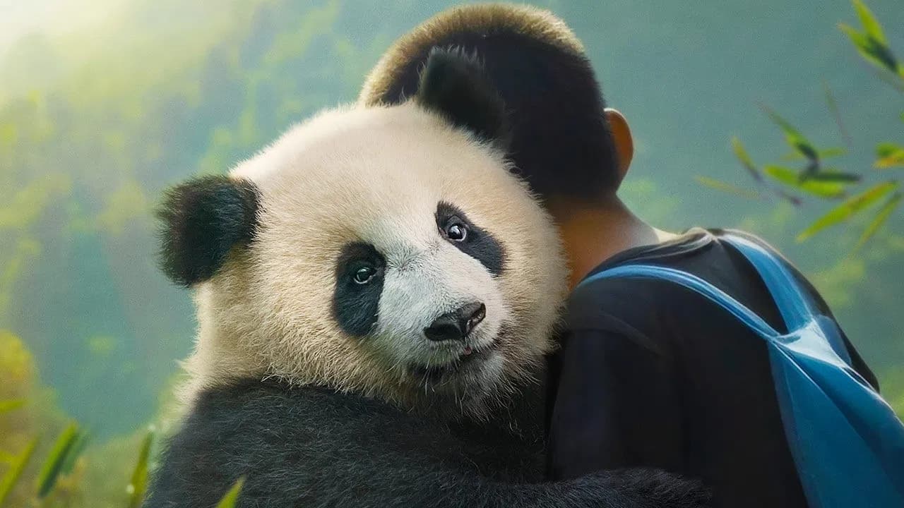 Panda a já